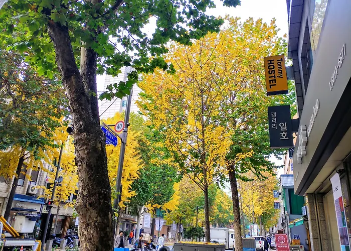 Hostel Tommy 50 Off Sale For 10Th Anniversary On 2026 Seoul