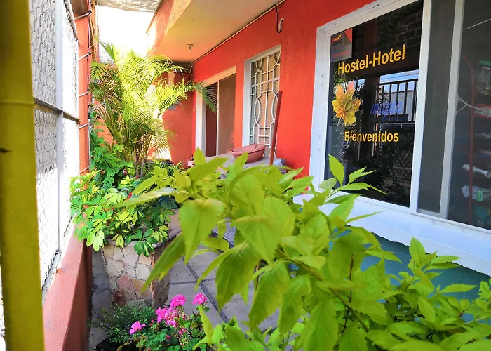 Hostal Maple Queretaro