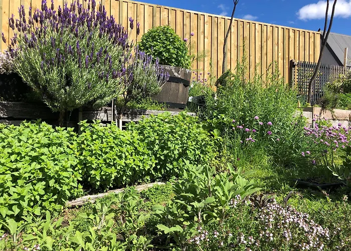 Blue Peaks Apartments Queenstown