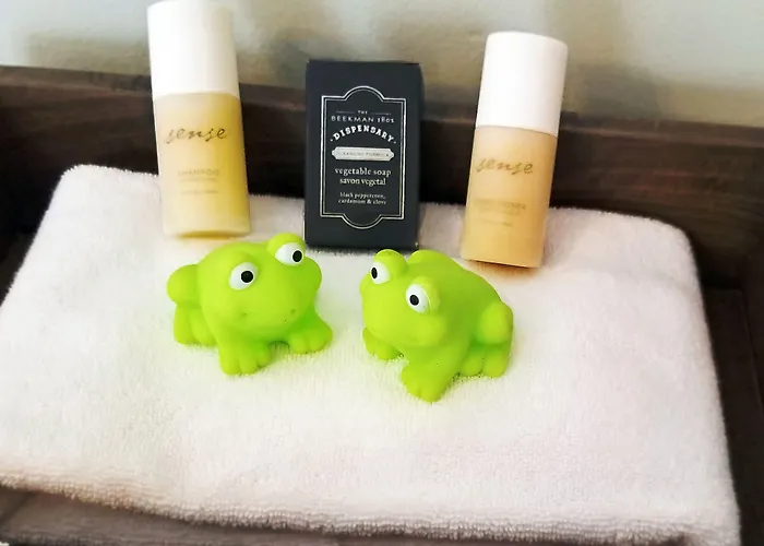 44 Spanish Street Inn (Adults Only) St. Augustine
