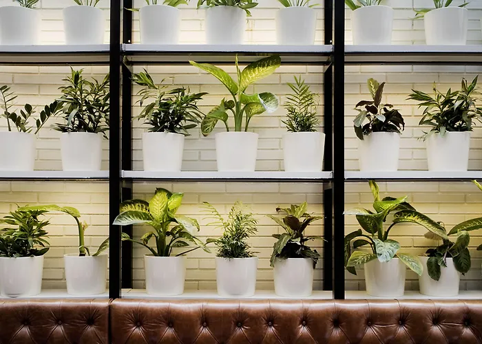 Praktik Bakery Hotel Barcelona