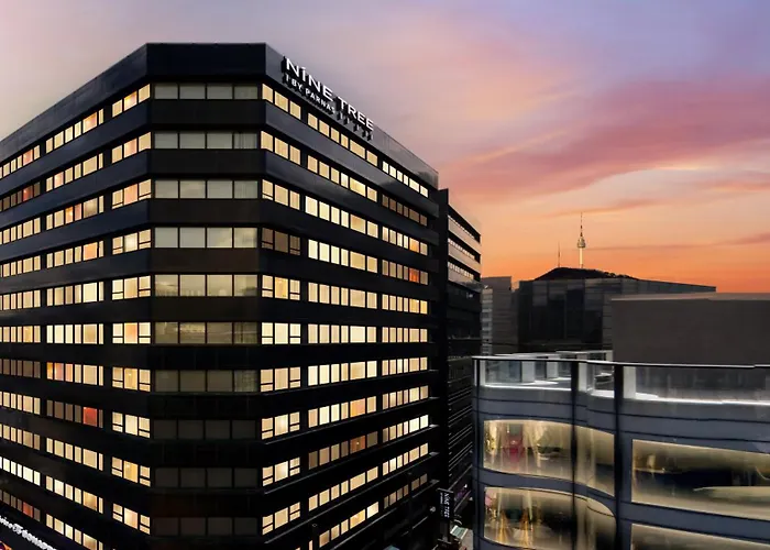 Nine Tree By Parnas Seoul Myeongdong 1 Hotel