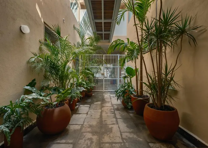 Cholula Condesa Hotel By Lumina Mexico City