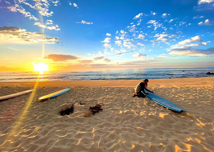 Aloha Surf Hostel San José del Cabo