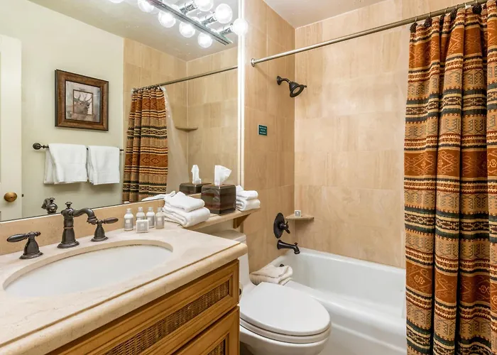 Christiania Condominiums- Coraltree Residence Collection Vail