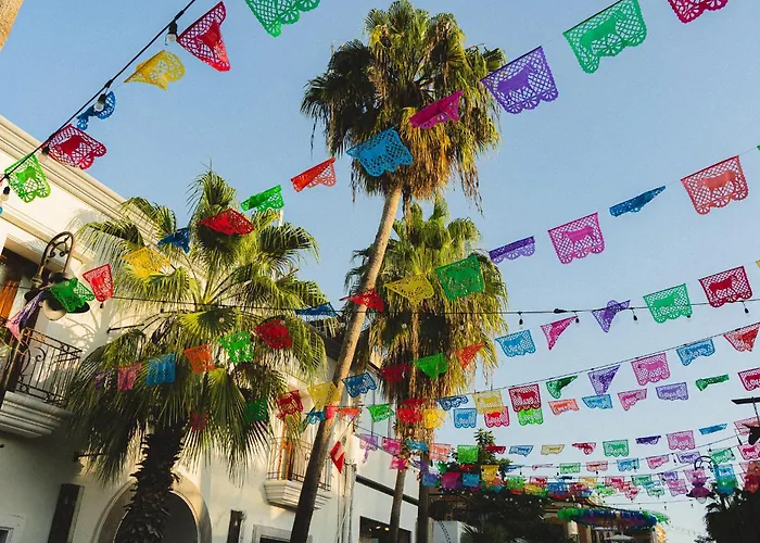 Desert Heart Hostel San José del Cabo