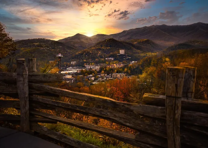 Bear Camp By The Night Hotel Pigeon Forge