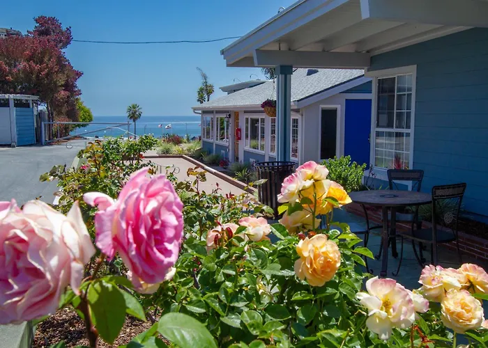 Edgewater Beach Inn Santa Cruz