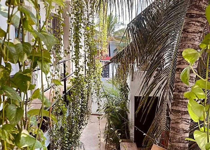 Anana Coliving Hotel Playa del Carmen