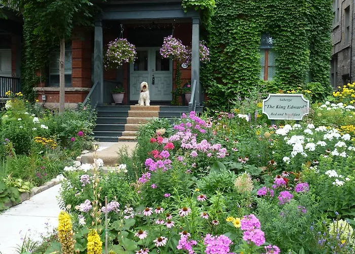 Auberge King Edward Bed And Breakfast Ottawa