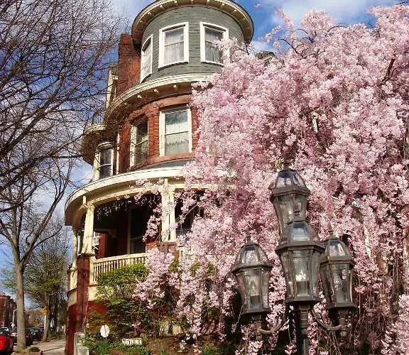Wilson House Bed & Breakfast Baltimore