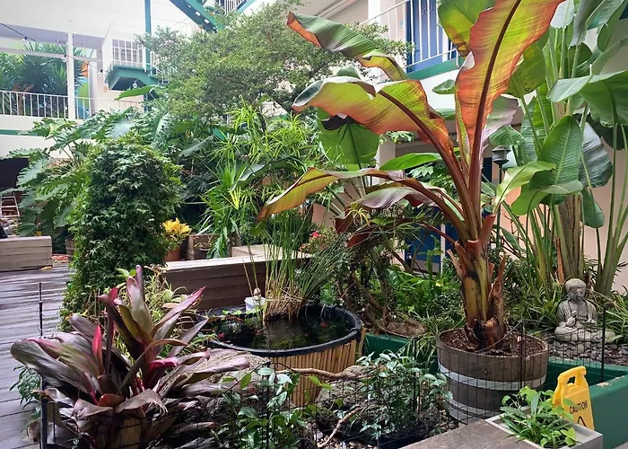 Oasis Inn San Francisco